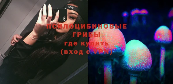 спиды Алексеевка