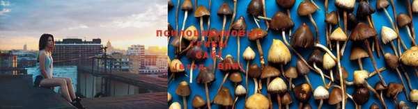 героин Абдулино