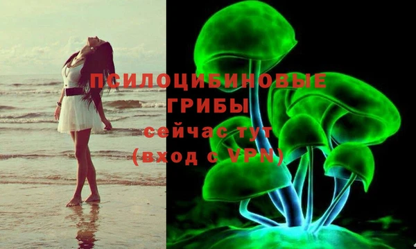 винт Алексин