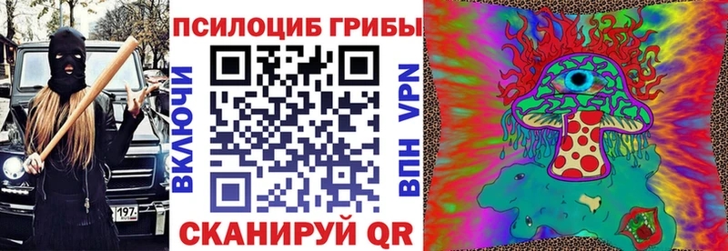 даркнет сайт  Мещовск  Псилоцибиновые грибы MAGIC MUSHROOMS 