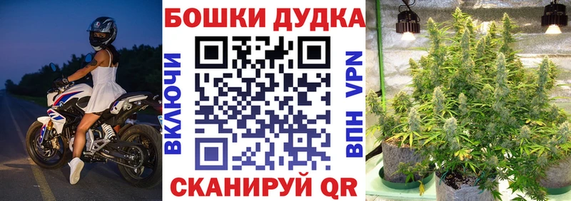 Конопля White Widow  наркотики  Мещовск 